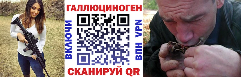 Псилоцибиновые грибы Psilocybine cubensis  Купить где  Бугульма 