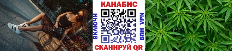 Купить Бугульма Канабис планчик